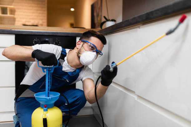 Best Termite Control Services  in Eunice, LA