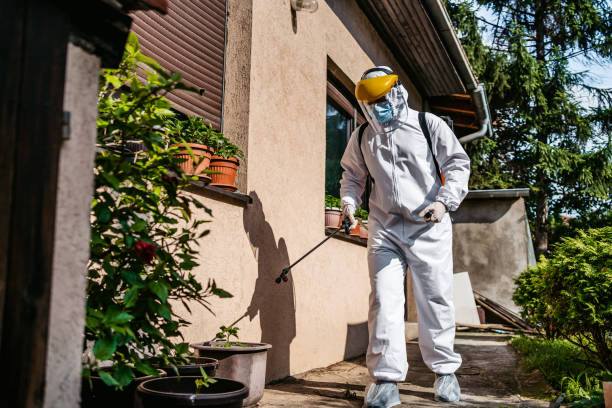 Best Pest Removal Services  in Eunice, LA