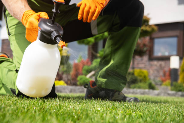 Best Best Pest Control Companies  in Eunice, LA