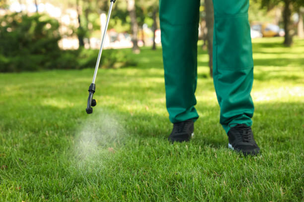 Best Bed Bug Extermination  in Eunice, LA