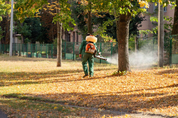 Best Wasp Removal Services  in Eunice, LA