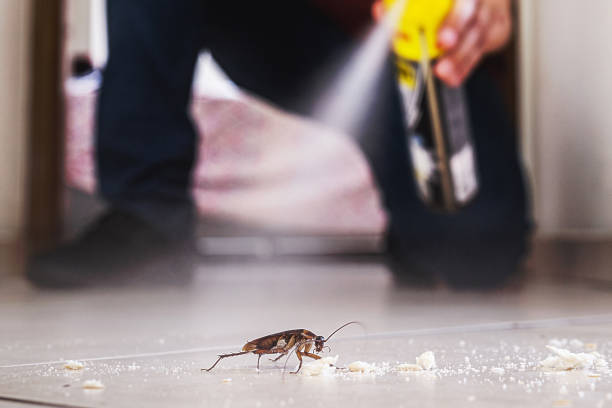 Professional Pest Control in Eunice, LA